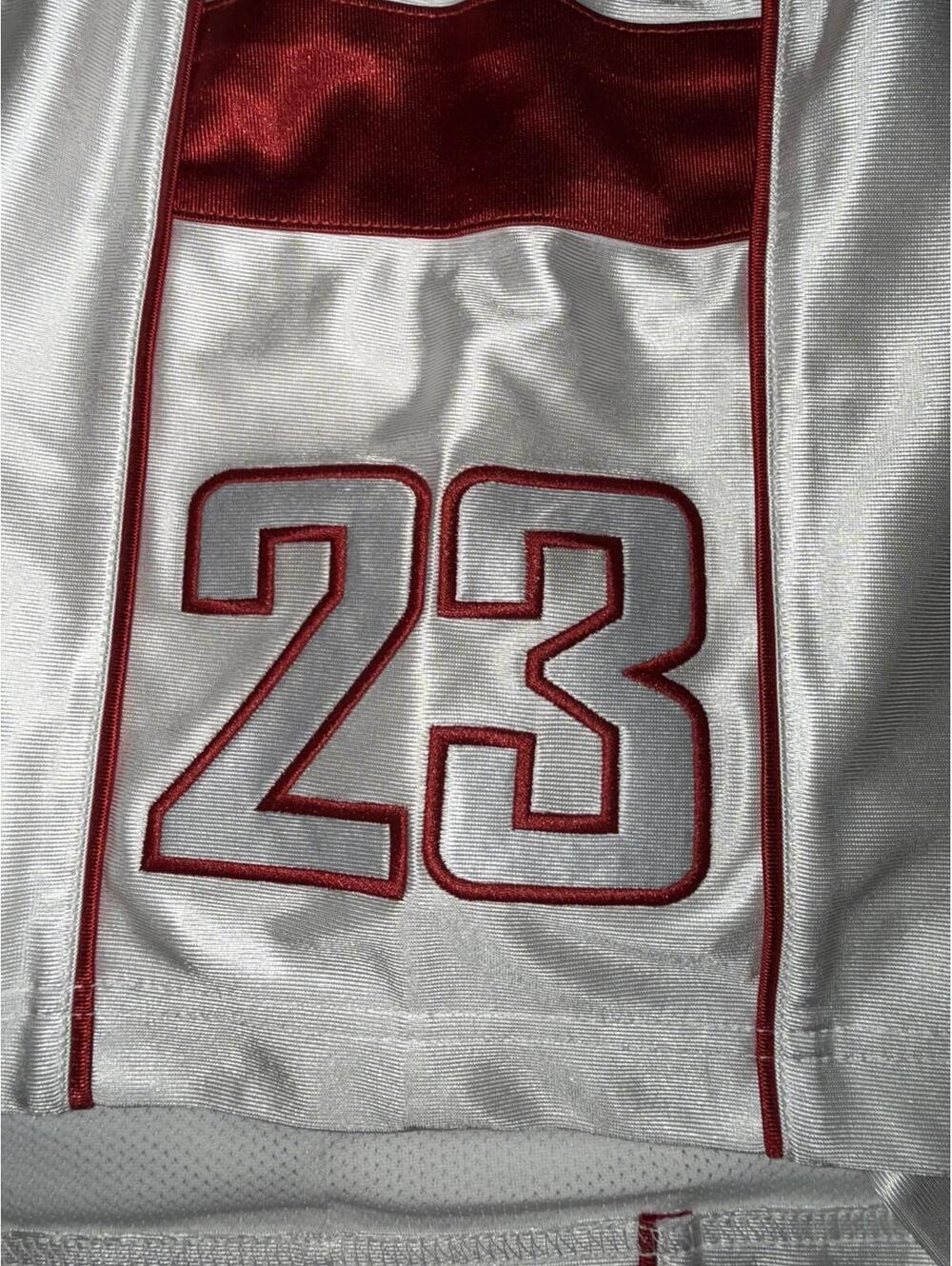 Jordan Men’s Brooklyn Cat Scratch Shorts Sample - Picture 4 of 14
